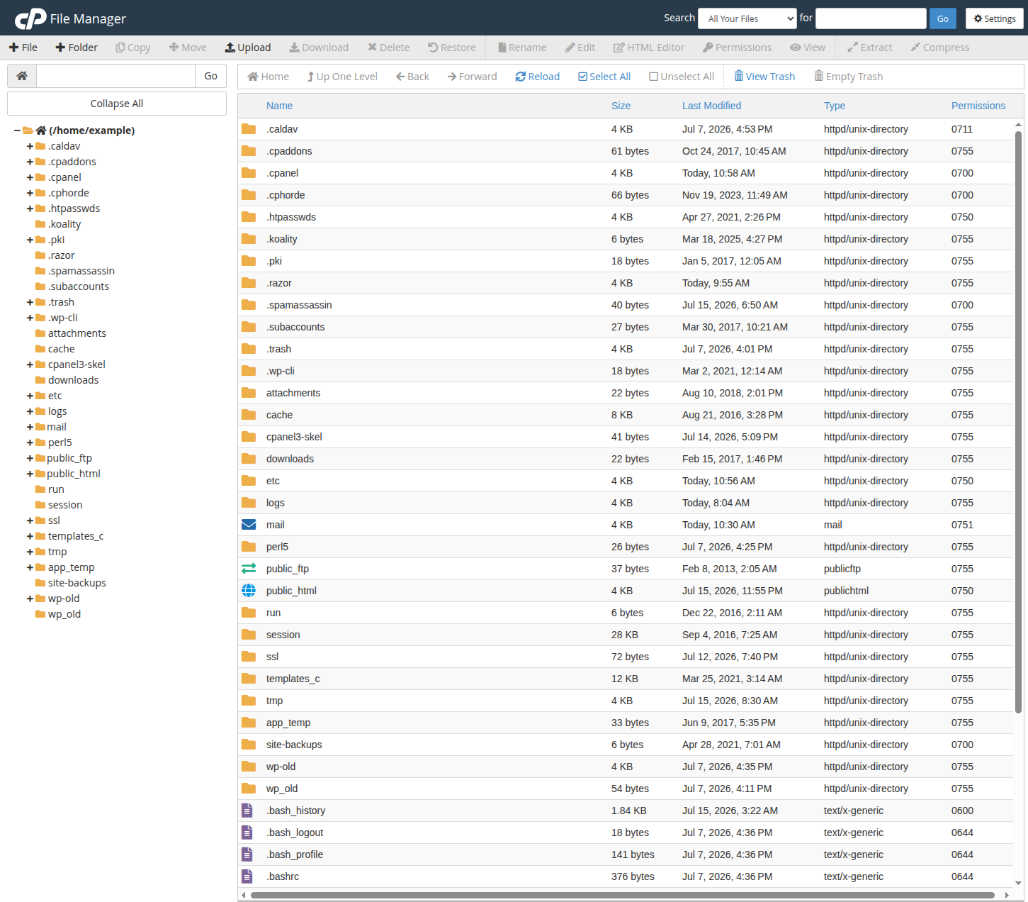 cPanel File Manager